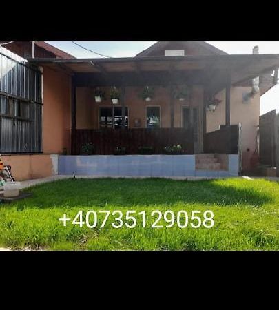 Casa zona centrala Tulcea Eksteriør bilde