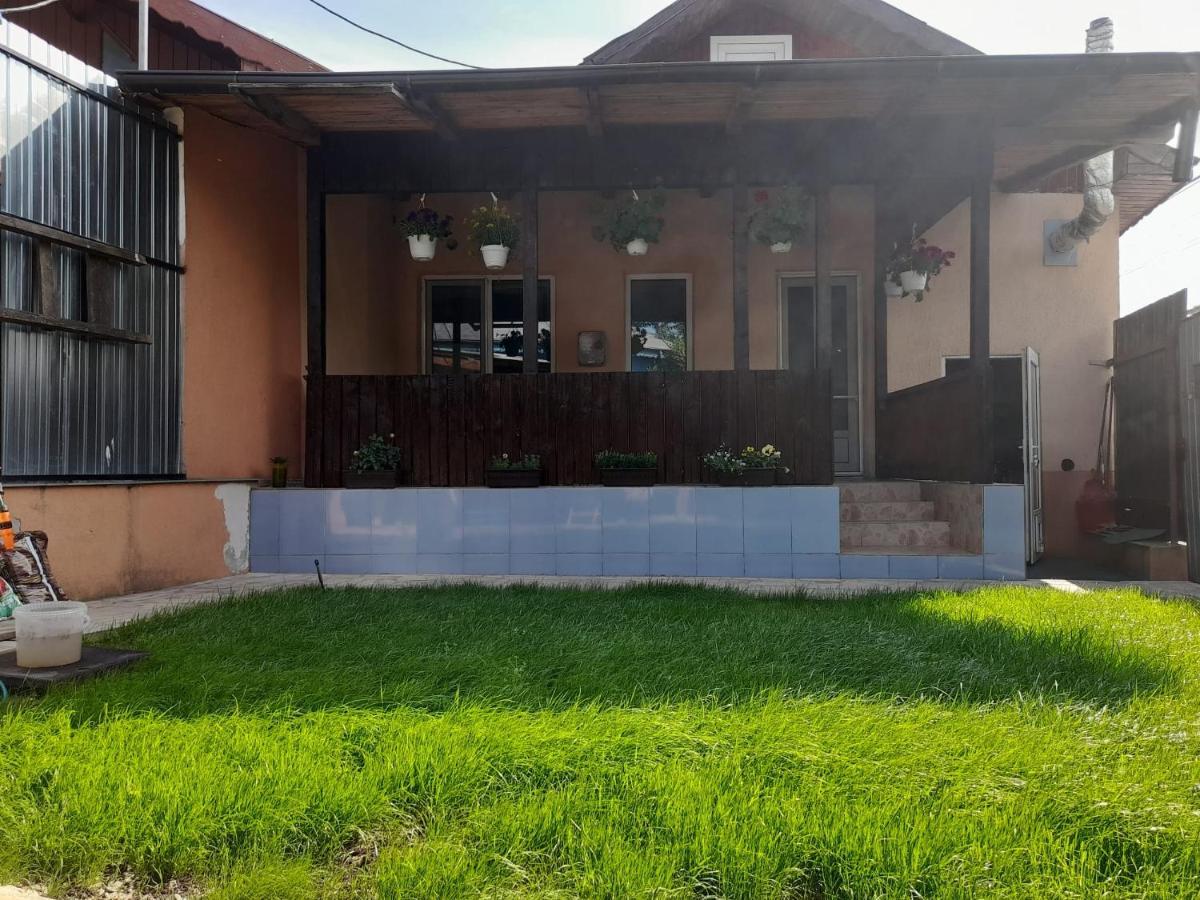 Casa zona centrala Tulcea Eksteriør bilde