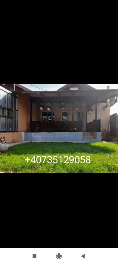 Casa zona centrala Tulcea Eksteriør bilde